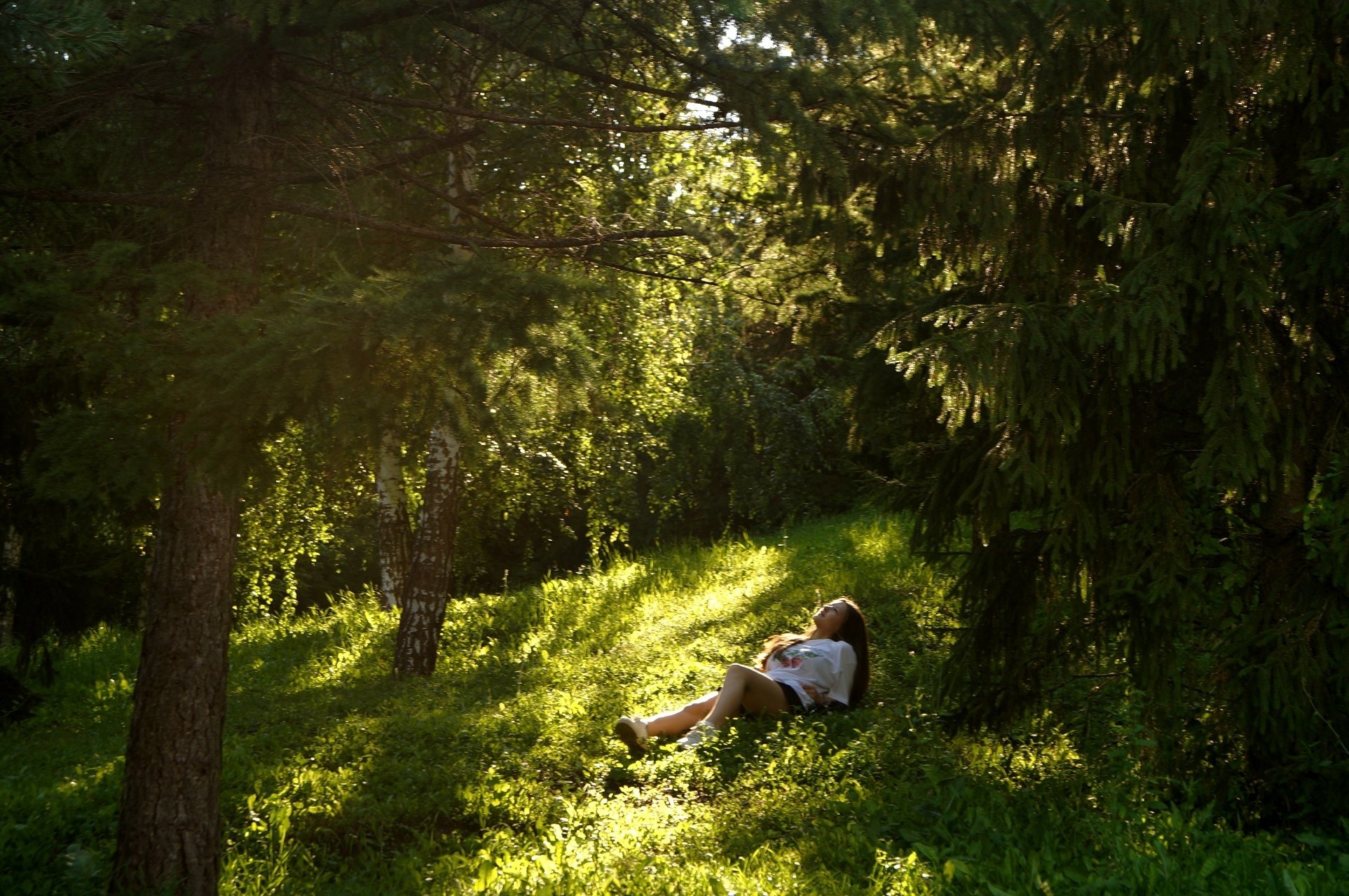 Человек в солнечном лесу